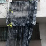 catisiz sergi