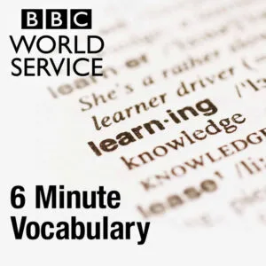 6minvoc